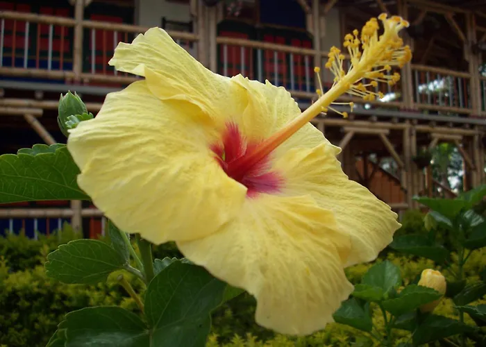 Finca Hotel La Dulcera